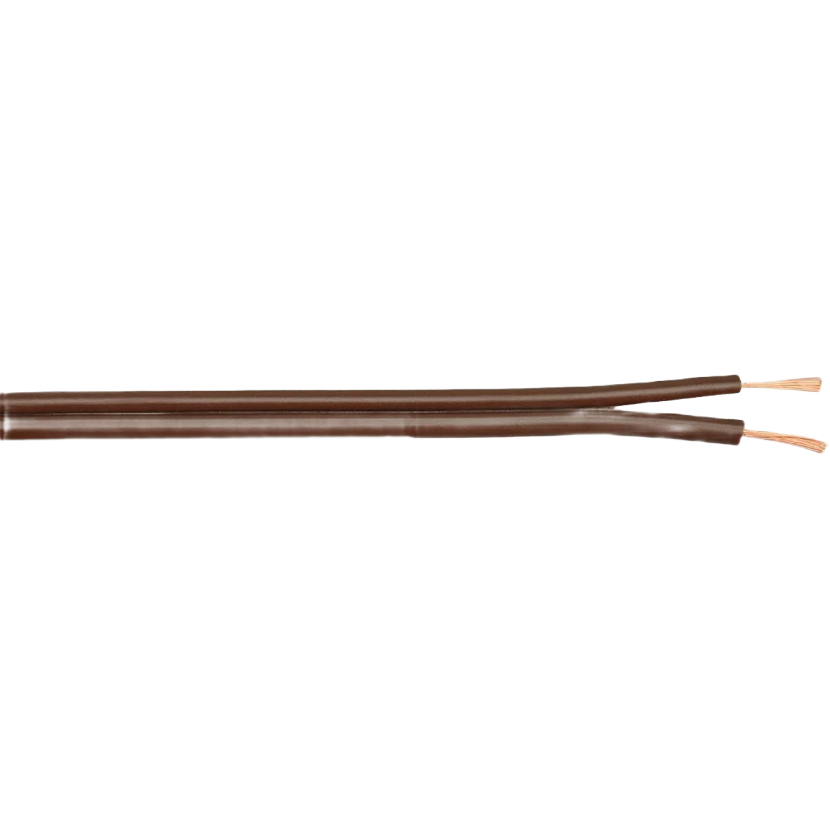 Exceptional Coleman Cable Lamp Cord Long-Lasting