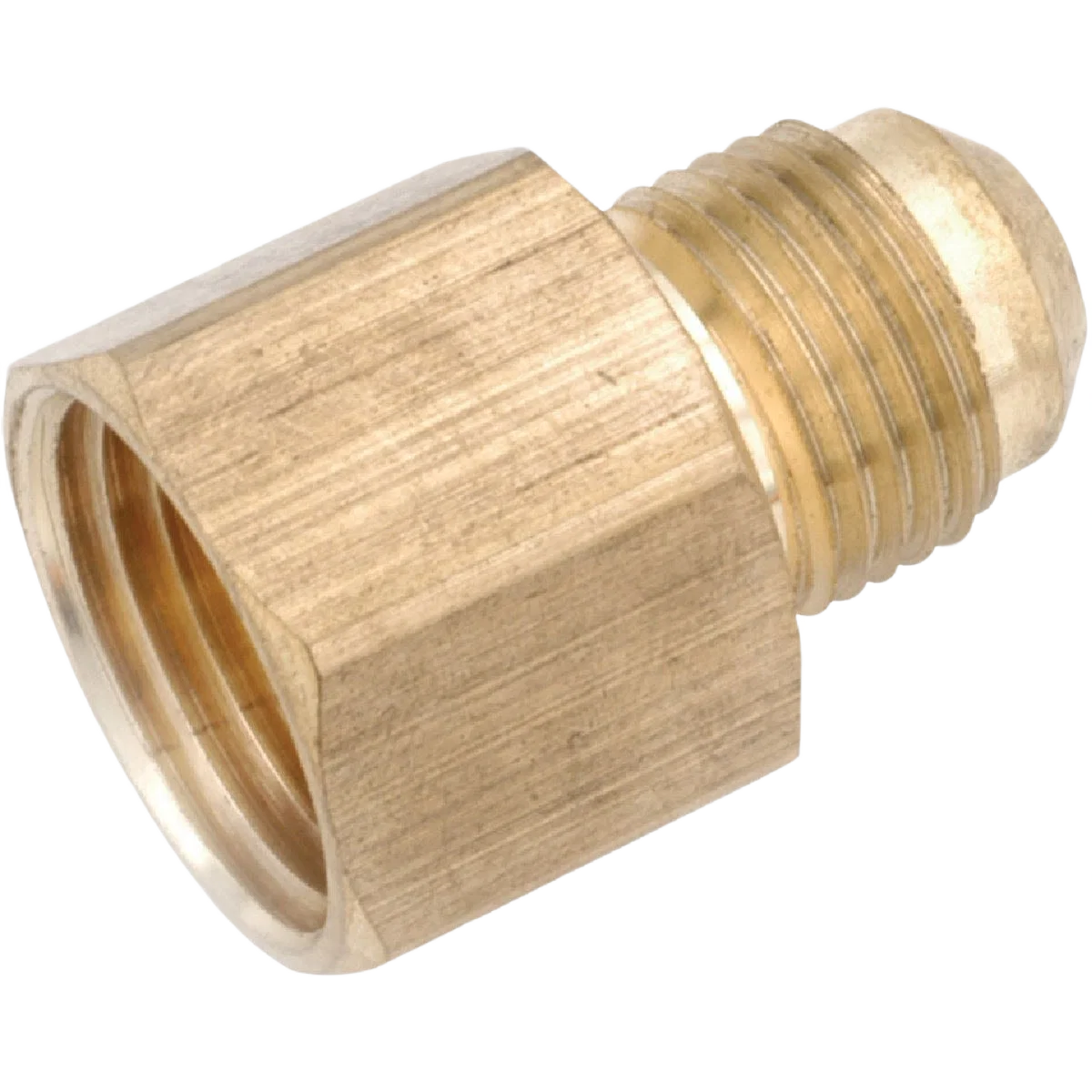 Certified Anderson Metals Brass Low Lead Female Flare Connector 1 2 In. x 1 2 In. Original Design