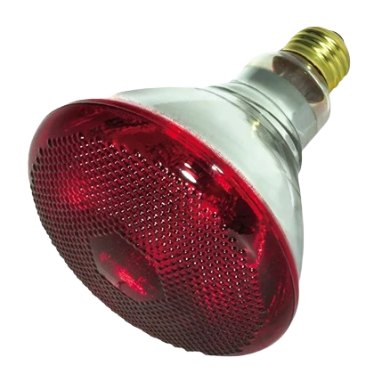 Trendy Satco 175 Watt BR38 Incandescent Red Medium Heat Lamp Long-Lasting