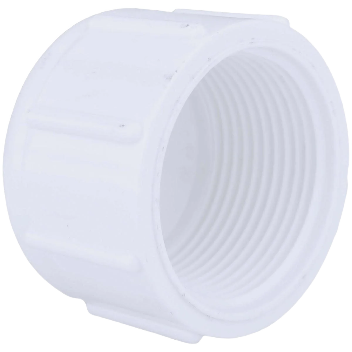 Sophisticated Charlotte Pipe 1-1 4 In. FIP Schedule 40 PVC Cap Professional