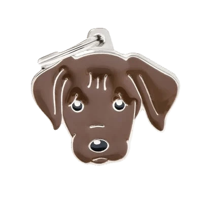 Eco-Friendly MyFamily Chocolate Labrador ID Tag High-Performance