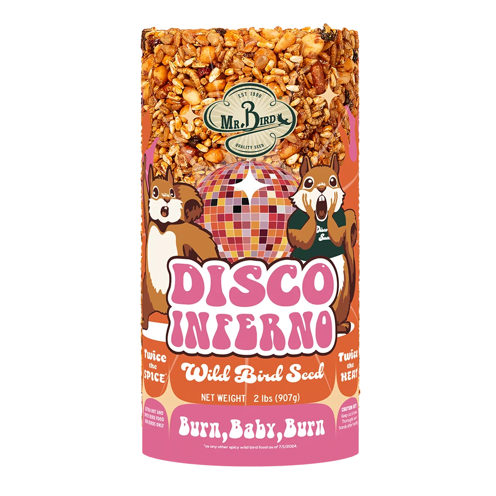 Authentic Mr. Bird Disco Inferno Small Seed Cylinder Natural
