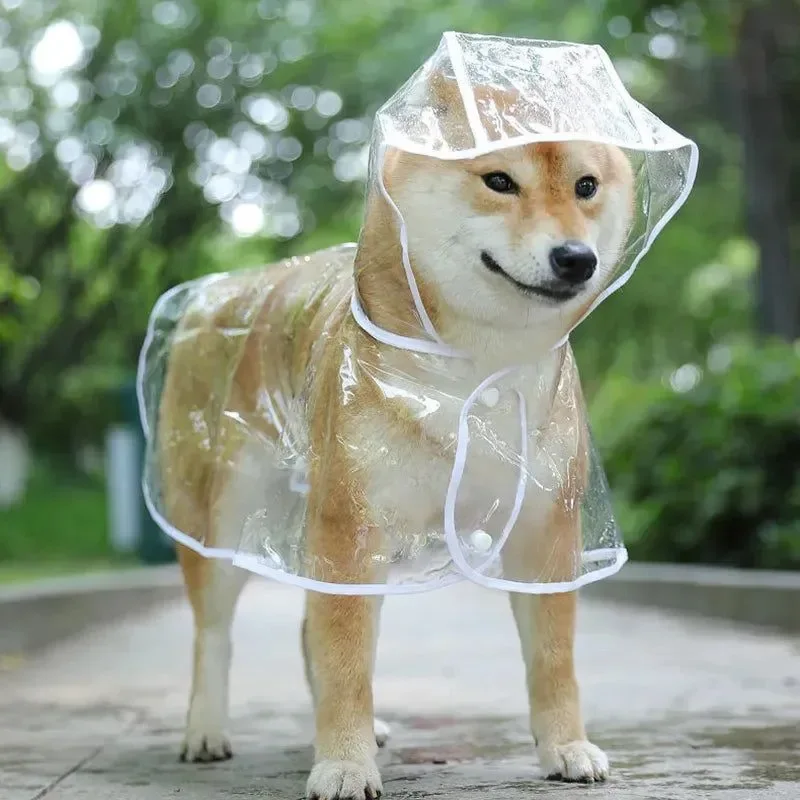 Specialty Pet Dog Transparent Raincoat – Waterproof Hooded Jacket for Small Dogs Genuine