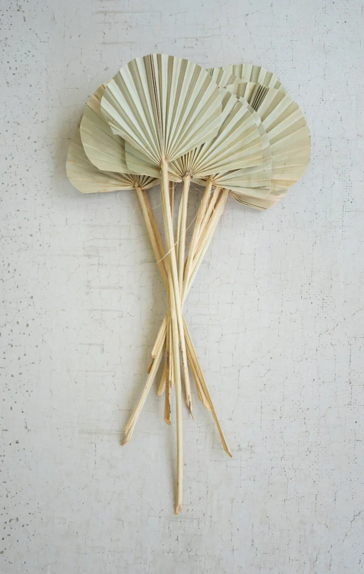 Functional Natural Rounded Palm Spear Bundle Responsible