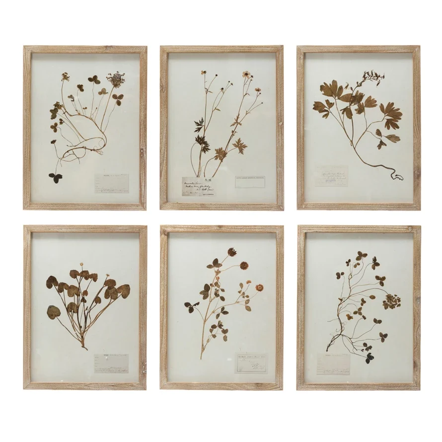 Smooth Framed Wall Decor w Botanicals Minimalist