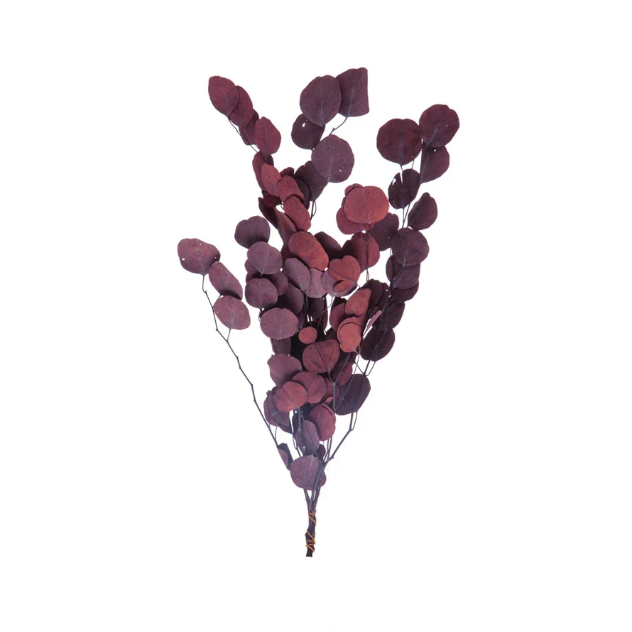 Expertly Made Dried Natural Eucalyptus Bunch Aubergine Original Design