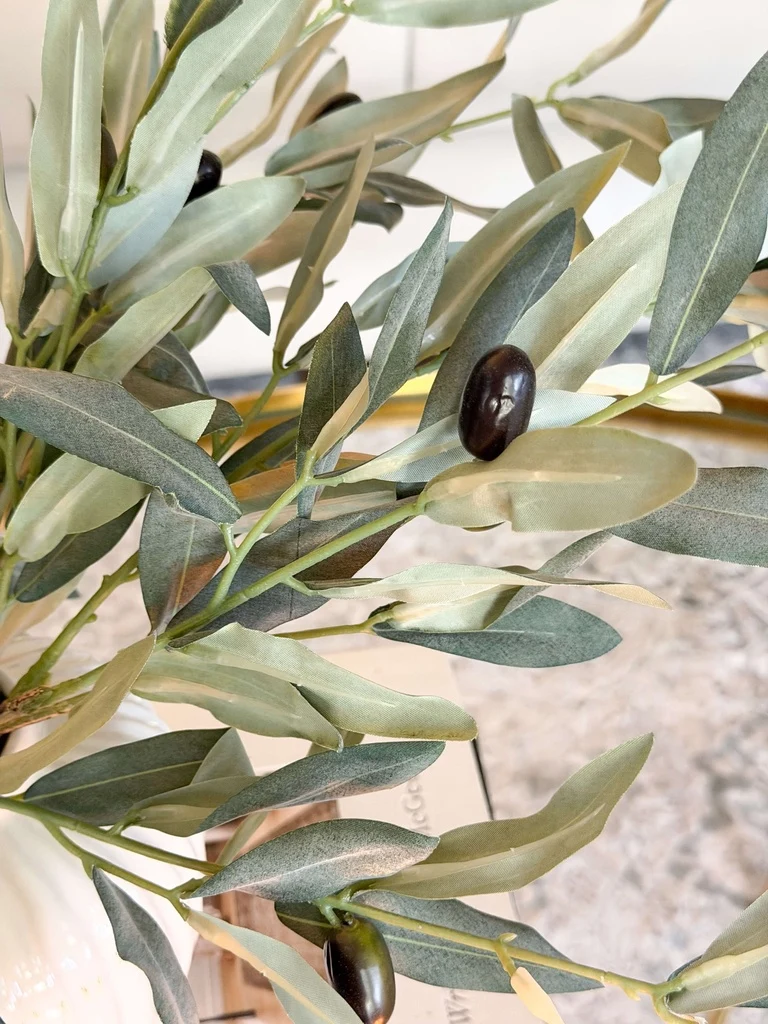 Comfortable Small Double Olive Branch First-Class