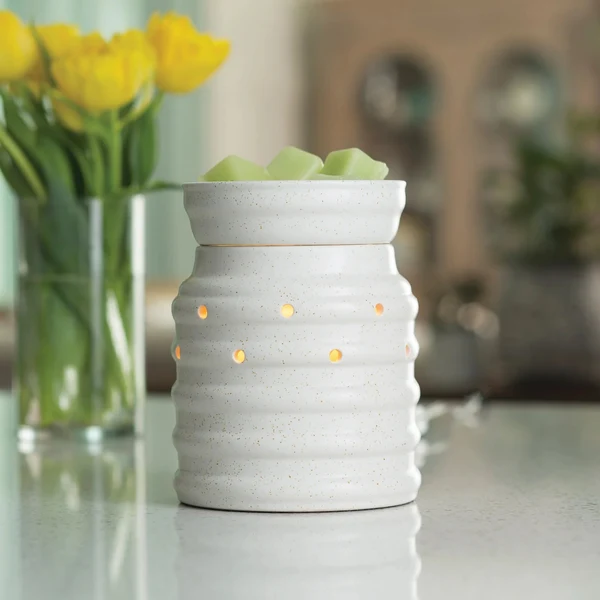 Excellent Farmhouse Electric Wax Warmer Refined