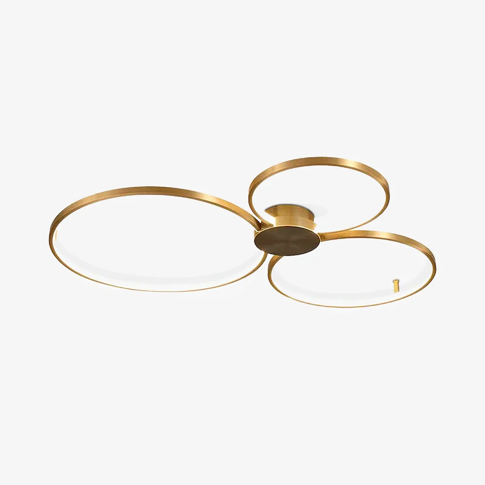 Environmentally Friendly Loop LED Ceiling Light Luxury