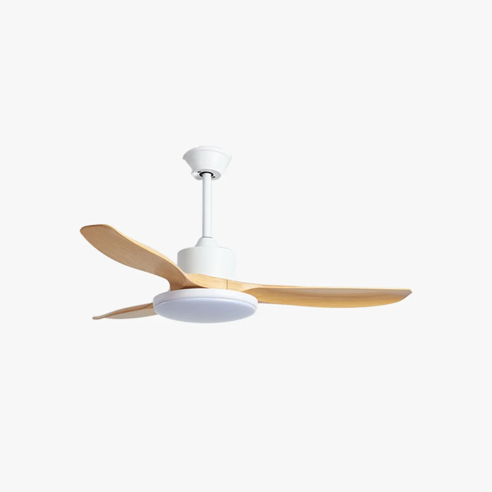 Proven Haydn 3-Blade DC Ceiling Fan with Light Black White 39.4” 47.2” 55.1” Healthy