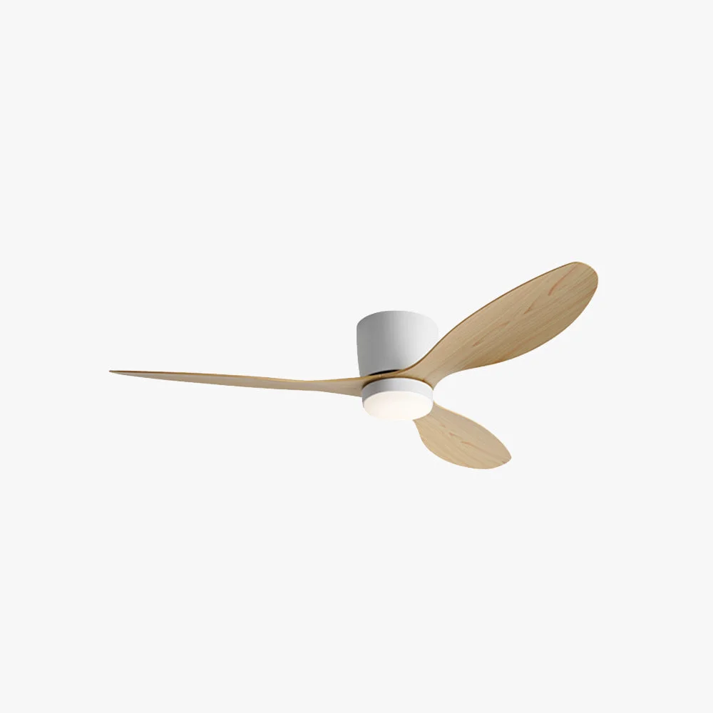 Next-Generation Walters Minimalist 3-Blade DC Ceiling Fan with Light Black White Original Design