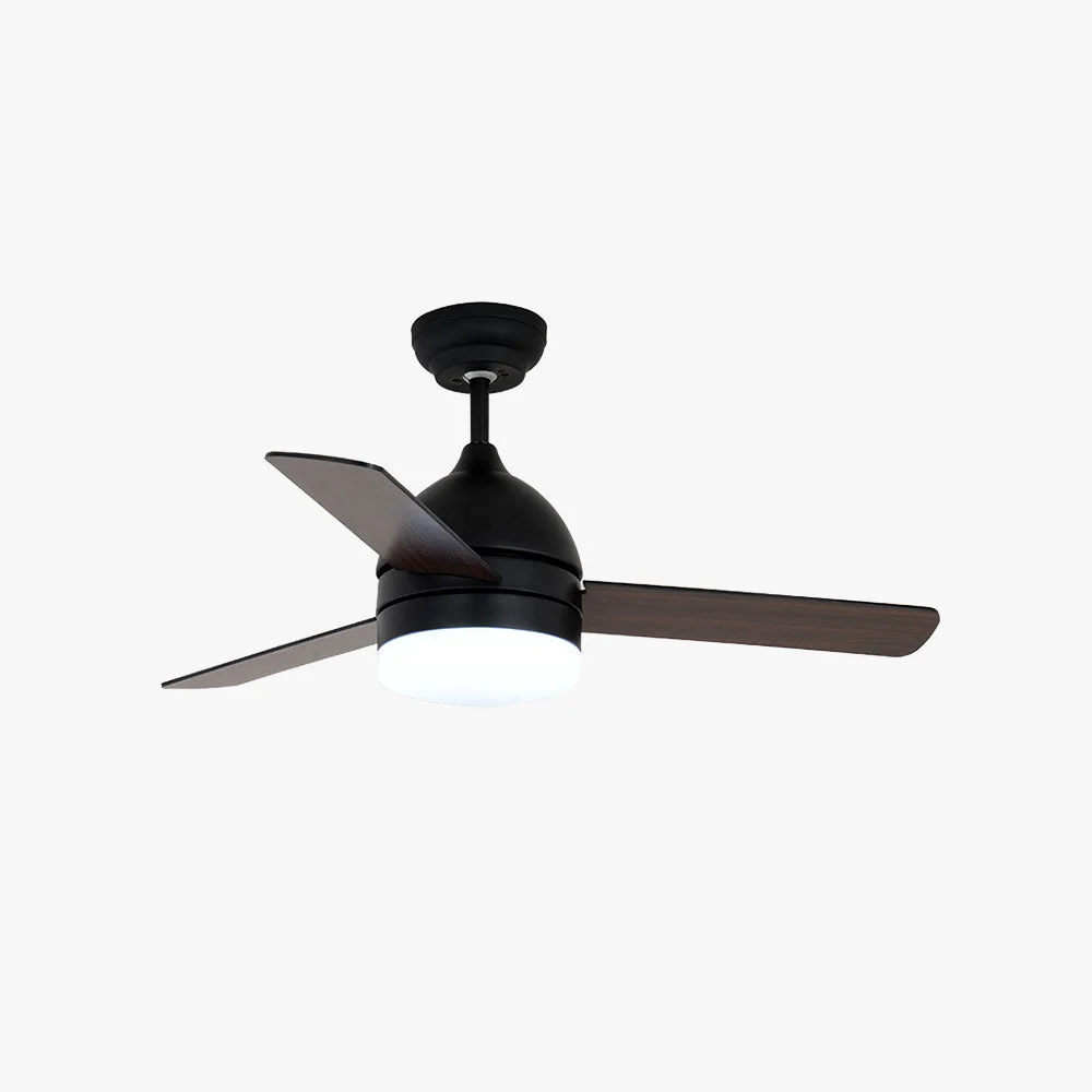 Fine Haydn 3-Blade Modern DC Ceiling Fan with Light Black White Summer 42” Sophisticated
