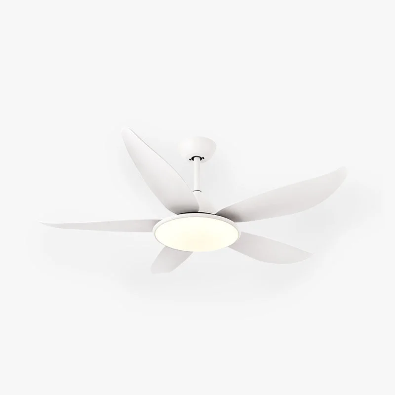 Excellent Haydn 5-Blade Modern Basic DC Ceiling Fan with Light Black White 52” Specialty