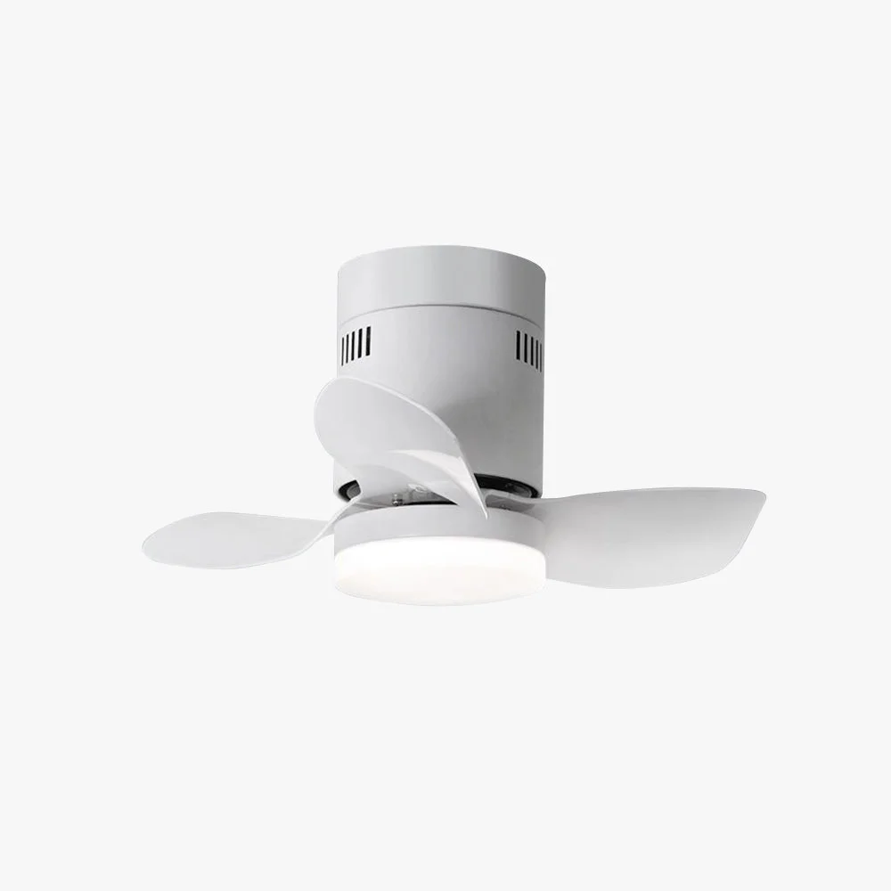 Detailed Walters 3-Blade White Ceiling Fan with Light 2 Color DIA 23.6” Exclusive