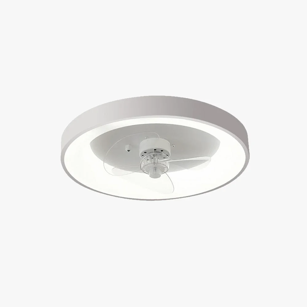 Verified Quinn White Ceiling Fan with Light Study Bedroom High-Grade