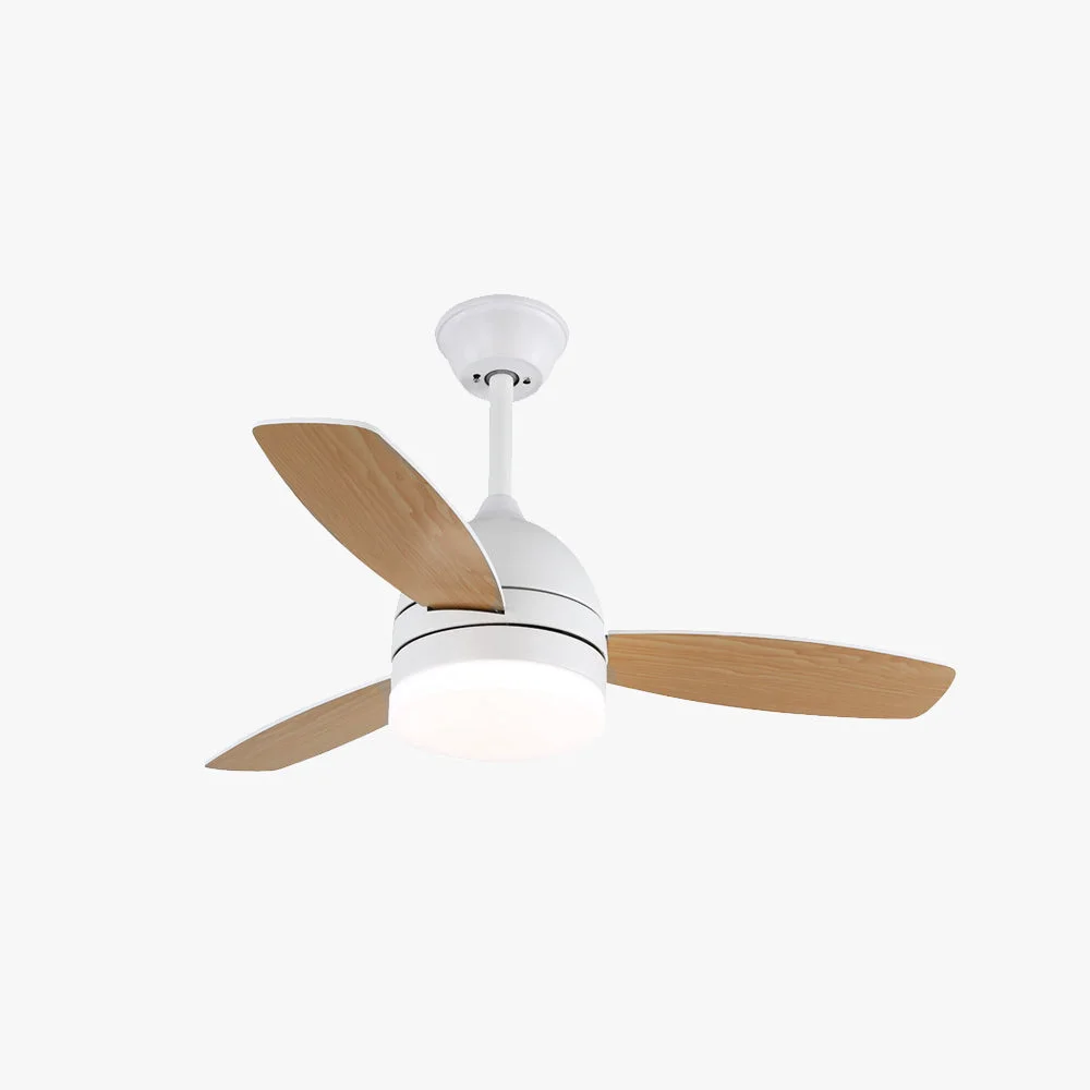 Verified Haydn Modern Wood DC Ceiling Fan with Light Black White 2 Color 42” Lightweight