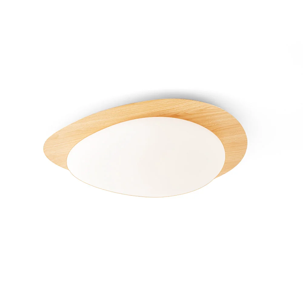 Enhanced Gregg Ceiling Lamp Durable