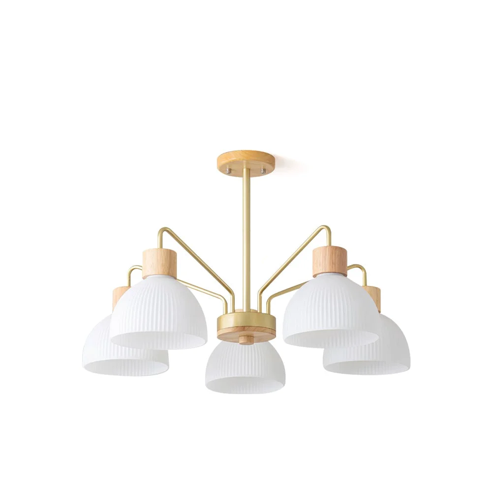Clean Ribbed Chandelier Sustainable