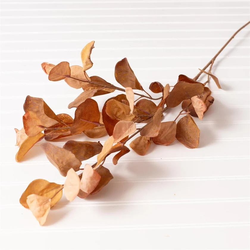 Professional Eucalyptus Leaves Spray Brown Minimalist