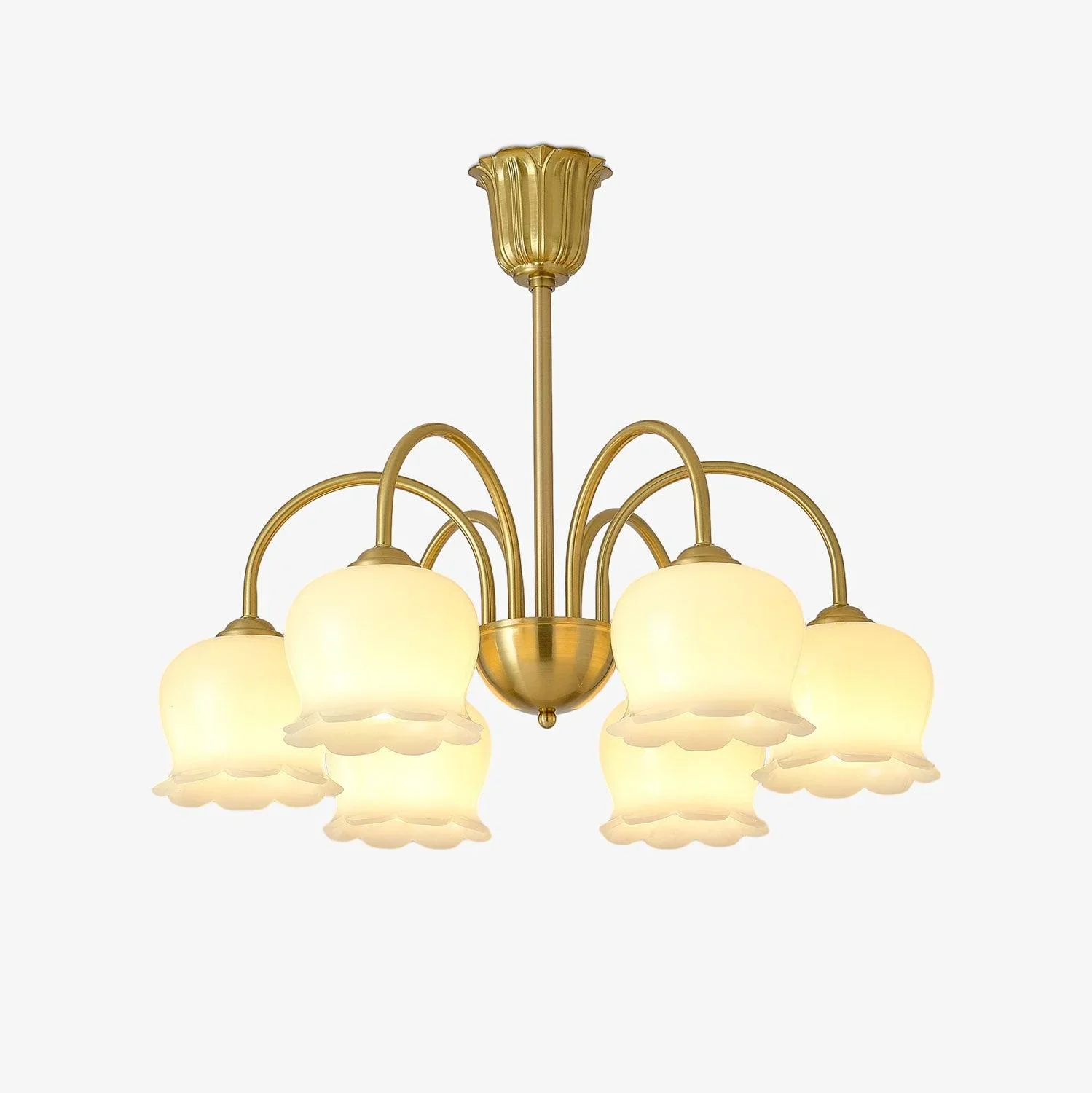 Superior Modern Orchid Chandelier Next-Generation