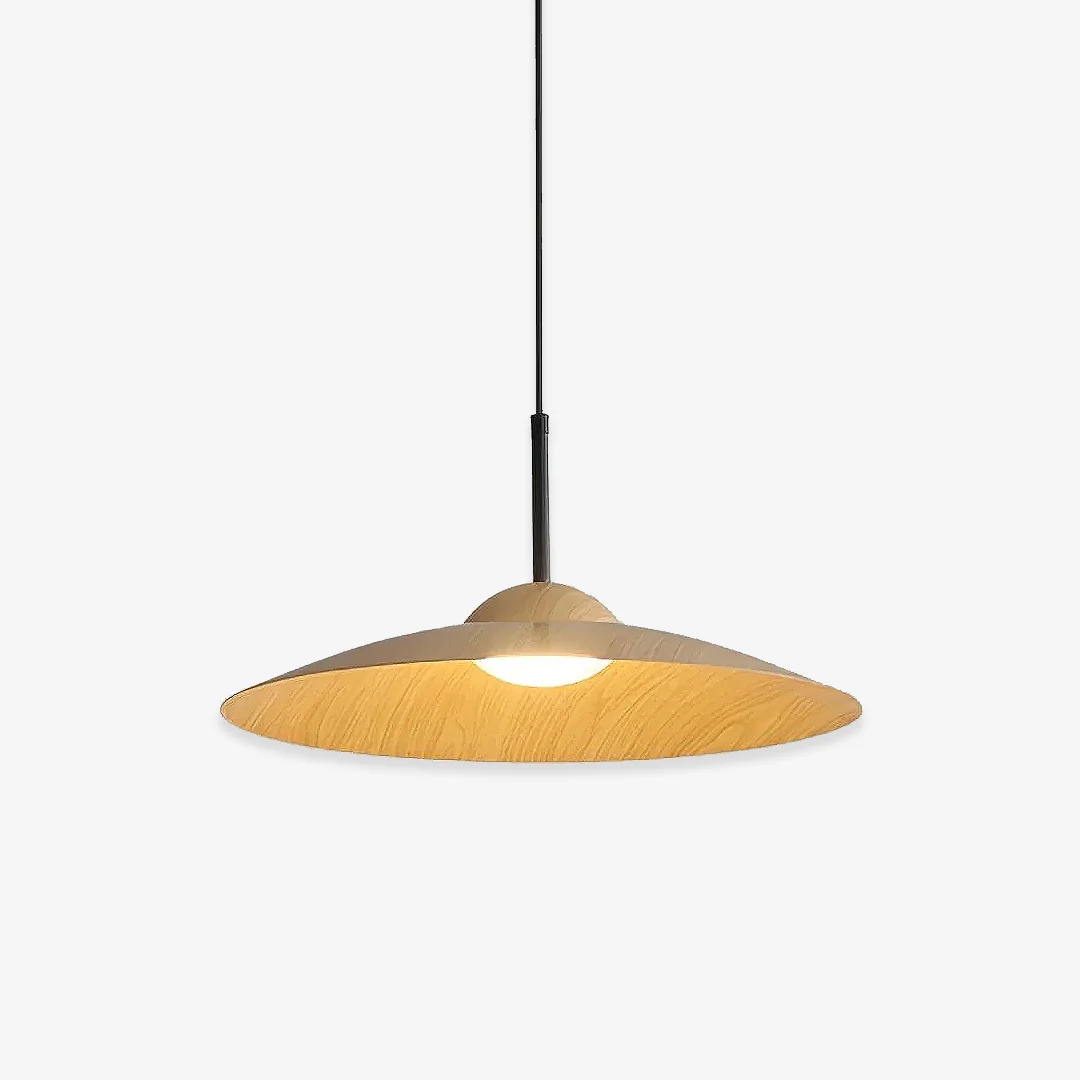 Reliable Arcadian LED Pendant Light Carefully Designed