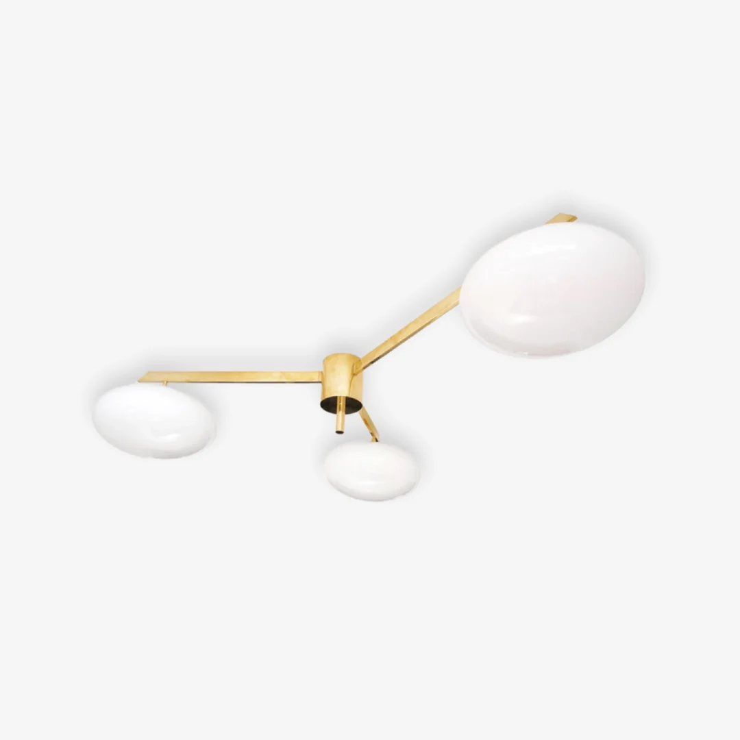 Fashionable Artie Multi-Head Ceiling Lamp Professional