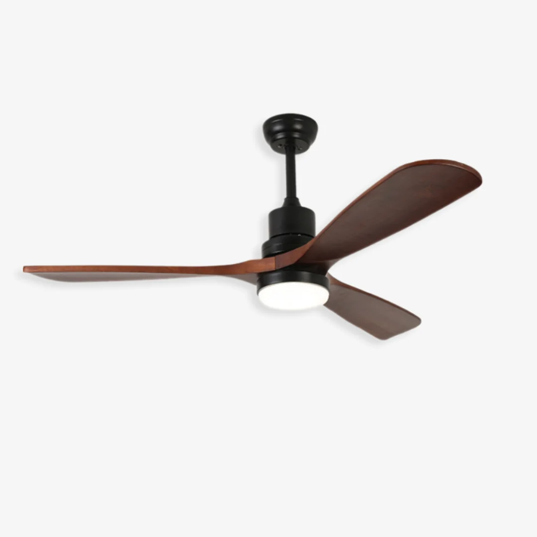 Fashionable Jettry Ceiling Fan Light Unique