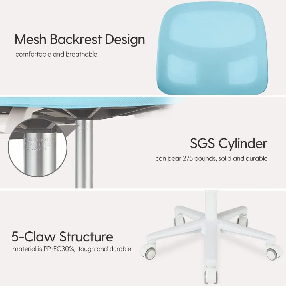 Safe Kids Ergonomic Height Adjustable Study Chair for Home Office Contemporary