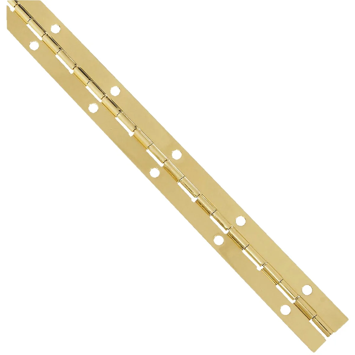 Relaxed National Steel 1-1 16 In. x 12 In. Bright Brass Continuous Hinge Luxury