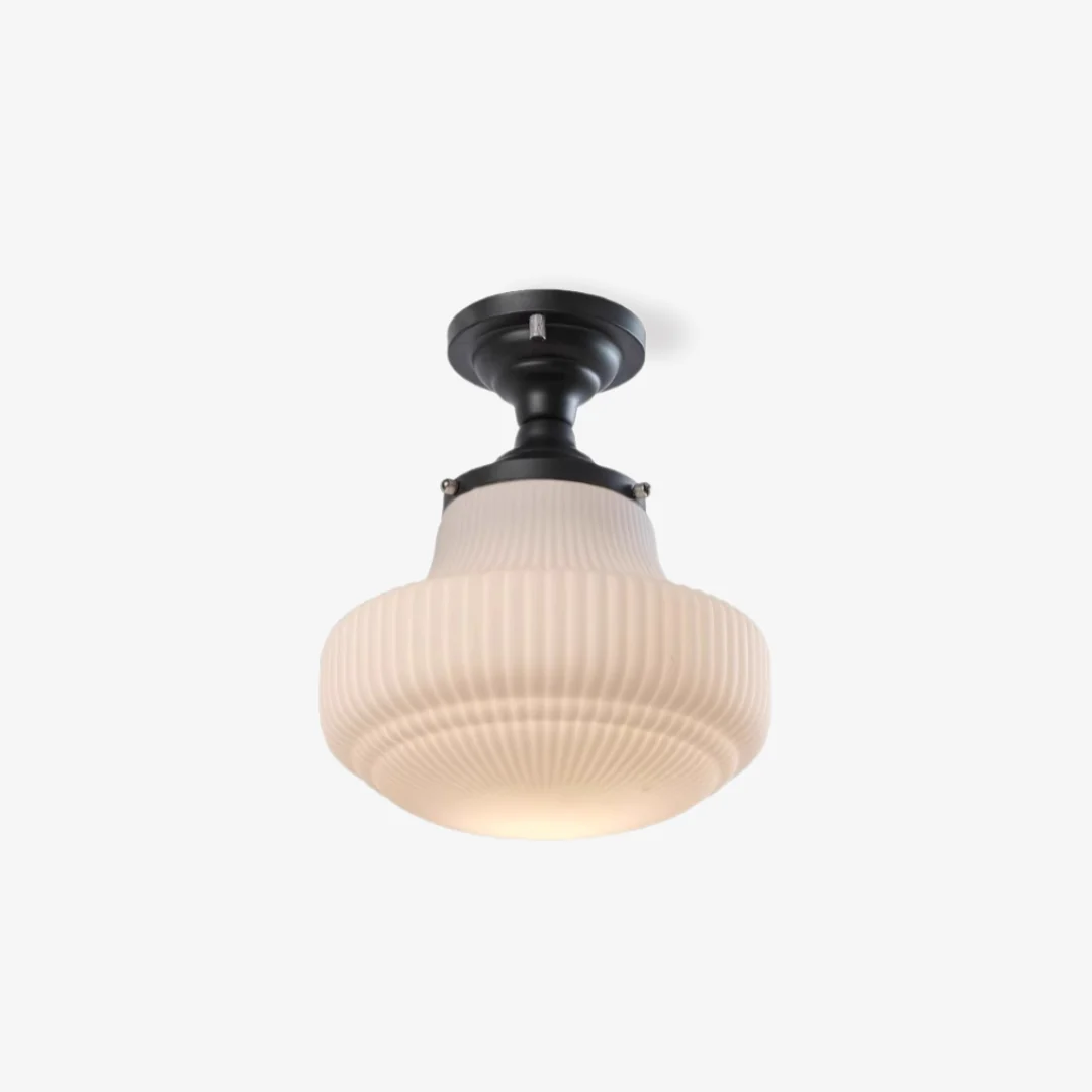 Advanced Schoolhuis Plafondlamp Next-Generation