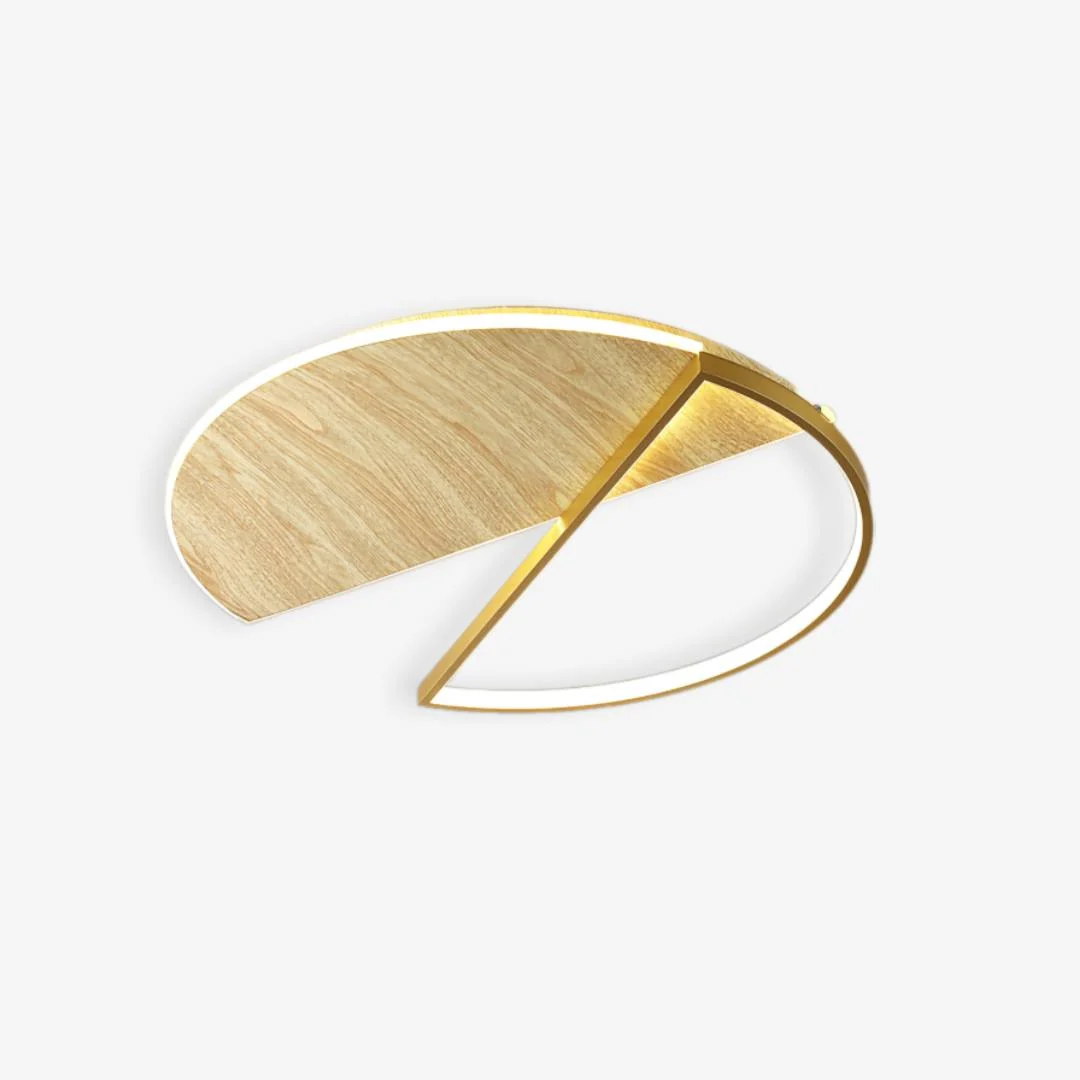 Exceptional Ronde schaar plafondlamp Premium Material