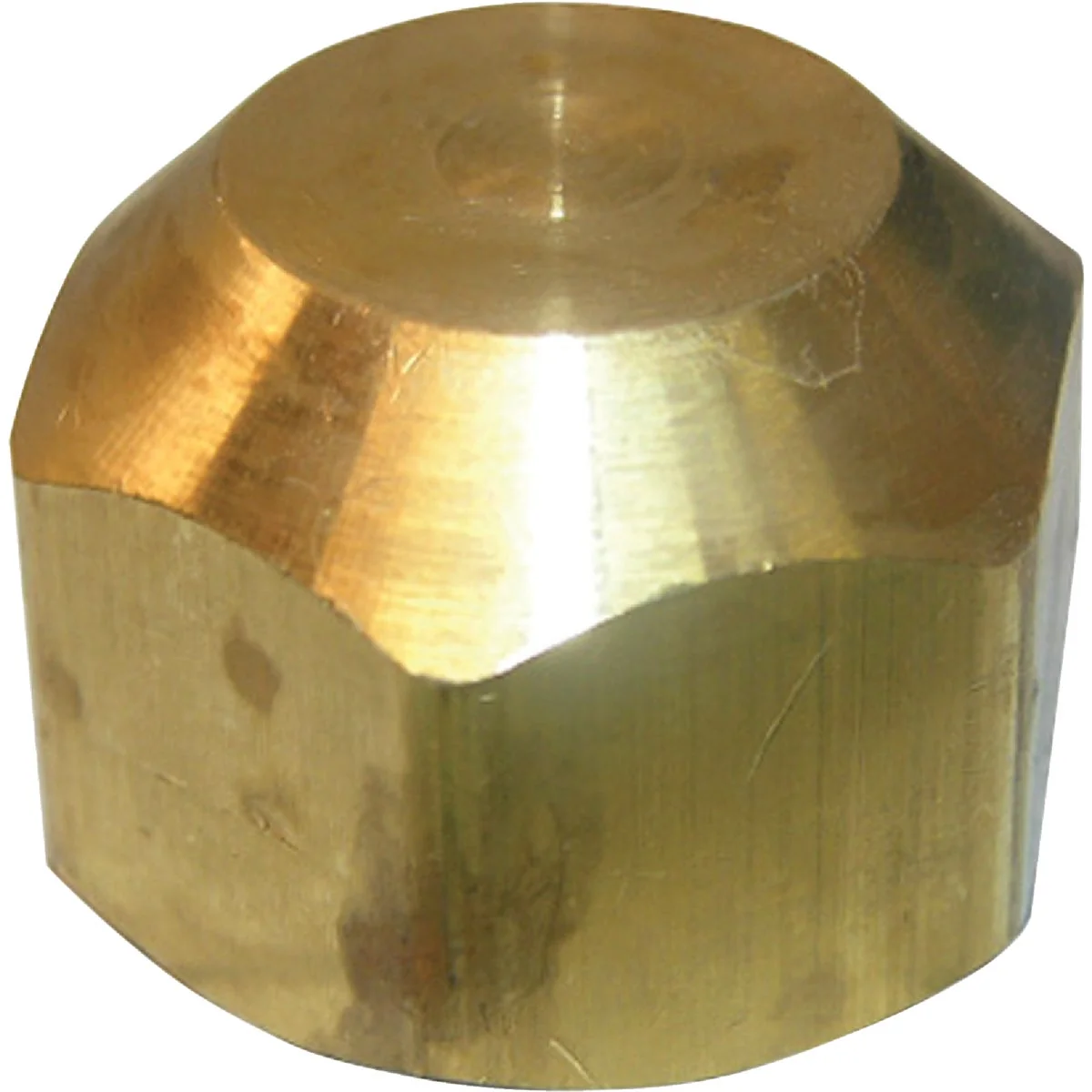 Lightweight Lasco 1 4 In. Brass Flare Cap High-Grade