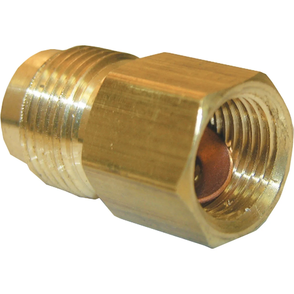Trendy Lasco 3 8 In. F x 1 2 In. M Brass Flare Adapter Elegant
