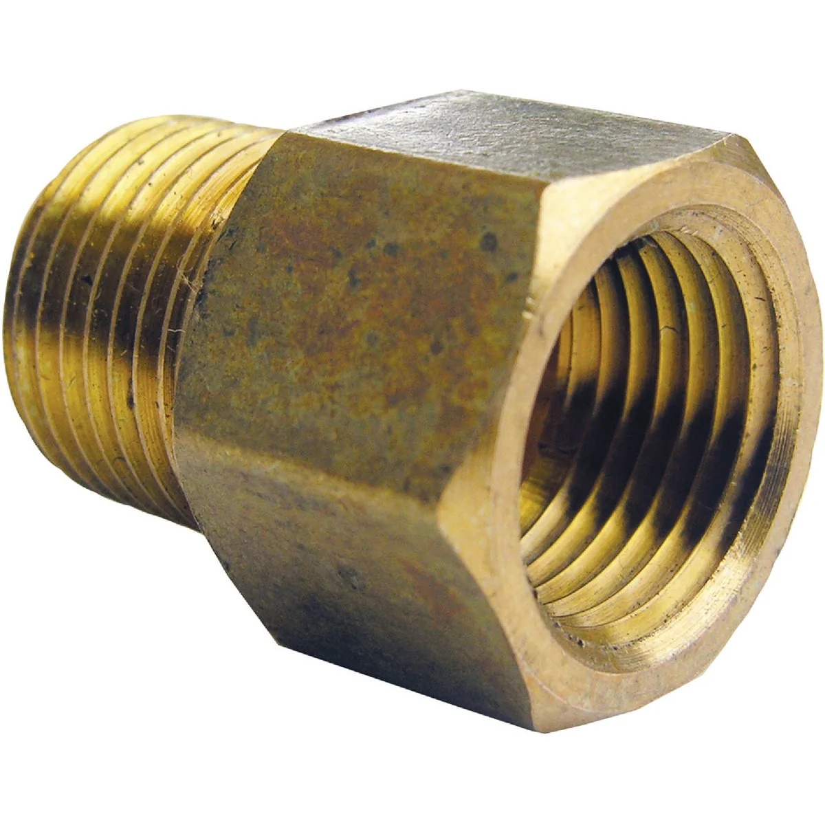 Contemporary Lasco 3 8 In. FPT x 3 8 In. MPT Brass Adapter Environmentally Friendly