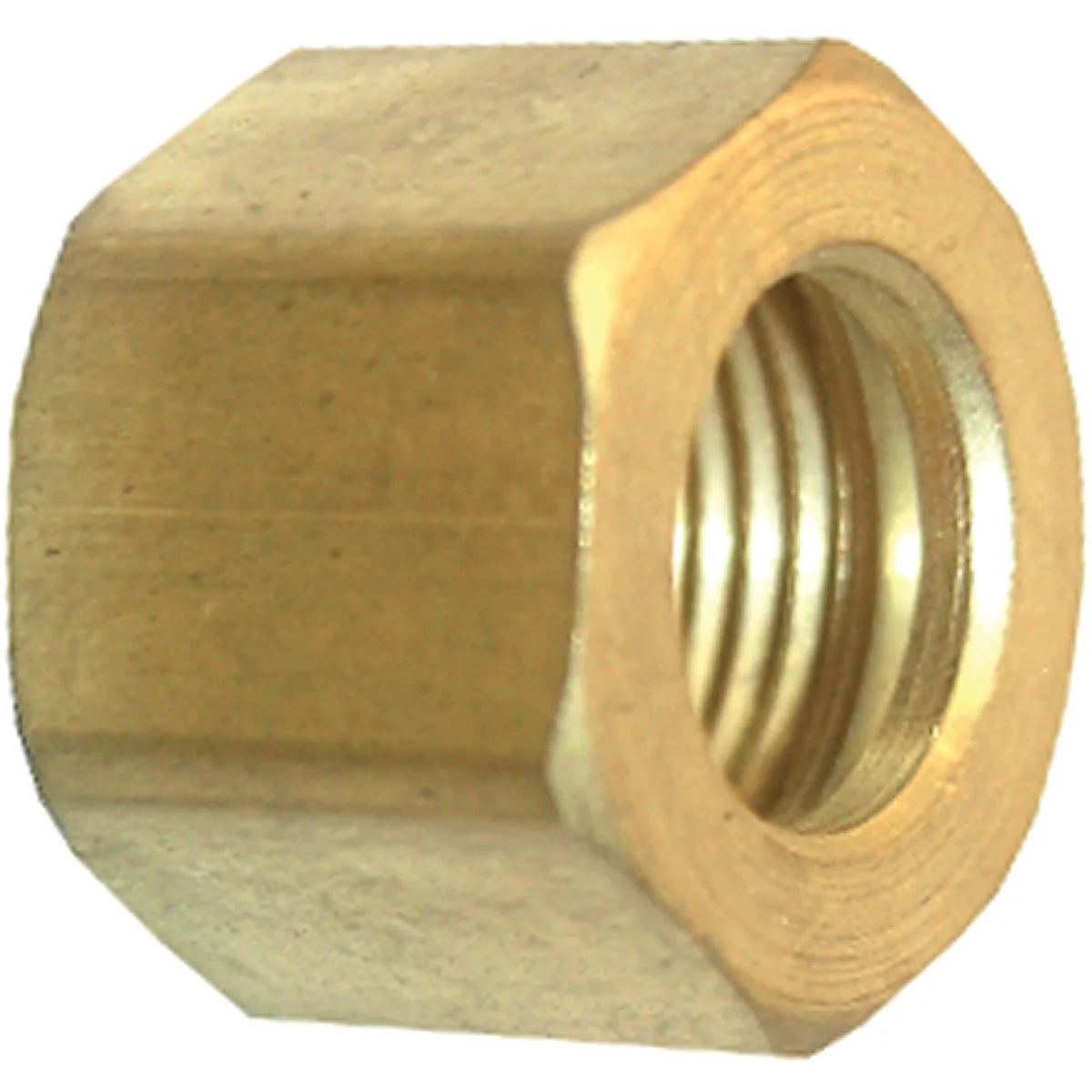 Excellent Lasco 1 8 In. Brass Compression Nut 2-Pack Comfortable