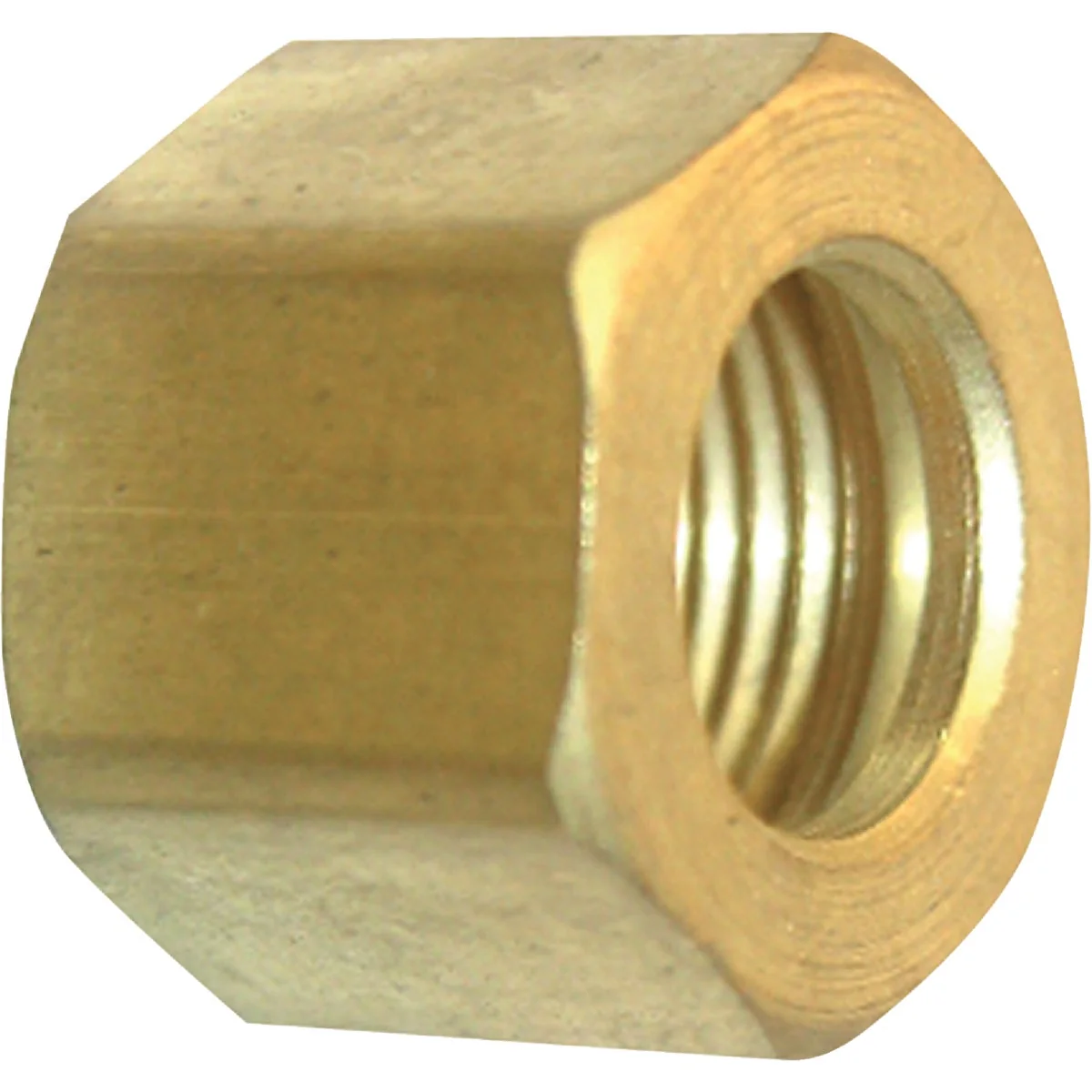 Outstanding Lasco 1 4 In. Brass Compression Nut 2-Pack Enhanced