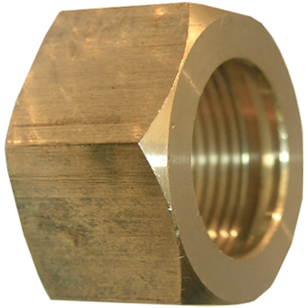 Trusted Lasco 5 16 In. Brass Compression Nut 2-Pack Specialty