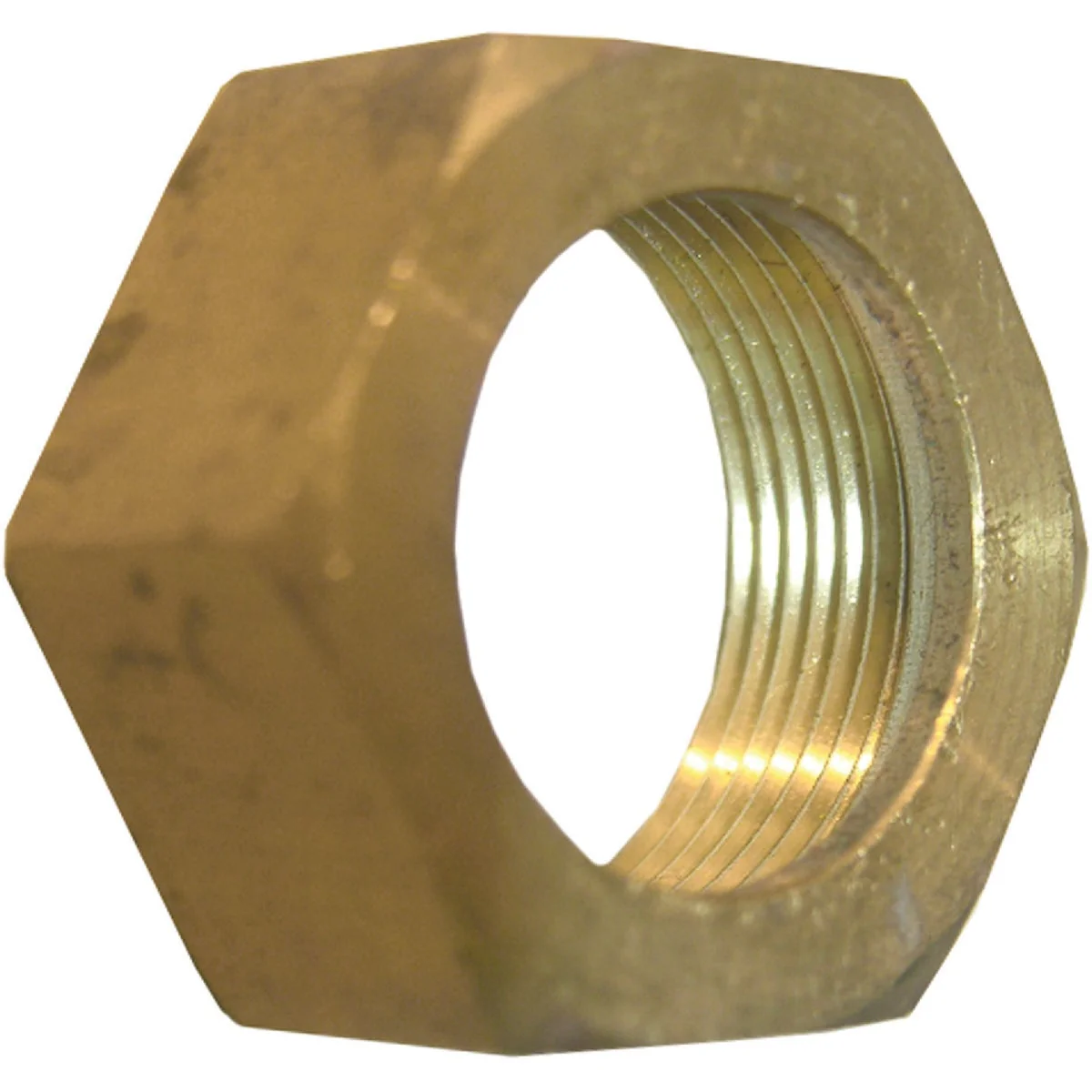 Luxury Lasco 3 8 In. Compression Nut and Sleeve Unique