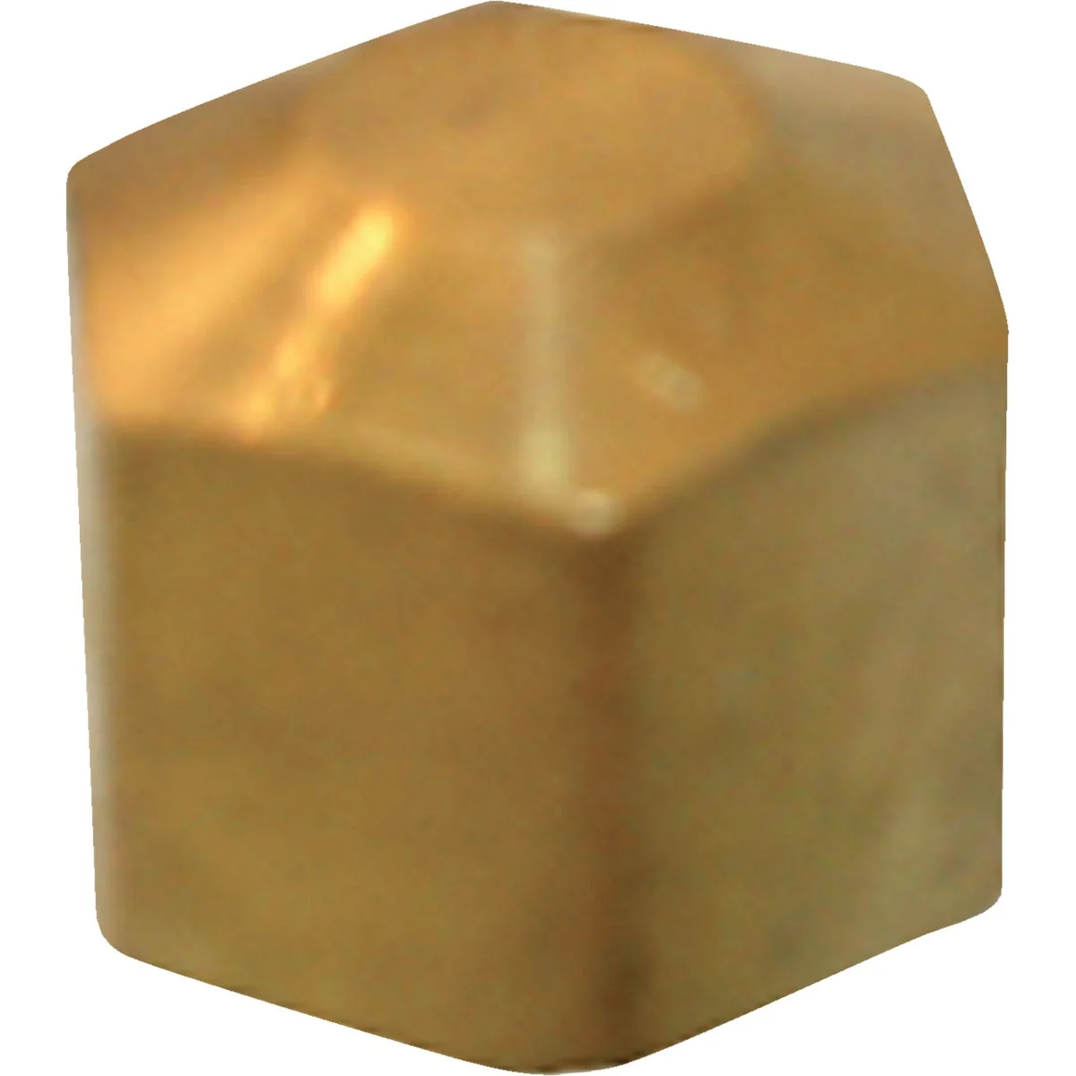 Innovative Lasco 1 4 In. Brass Compression Cap Reliable