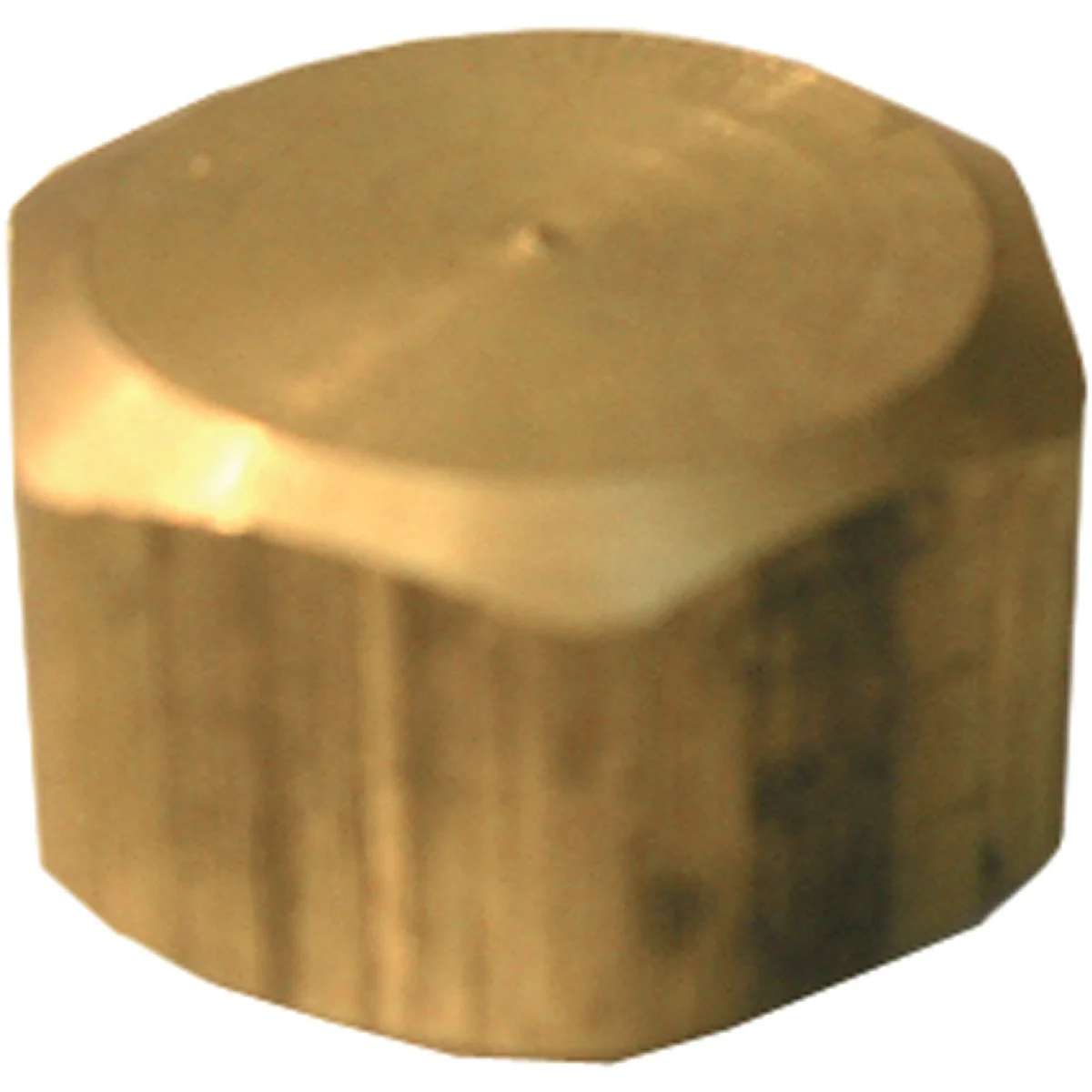 Quality Lasco 5 8 In. Brass Compression Cap Refined