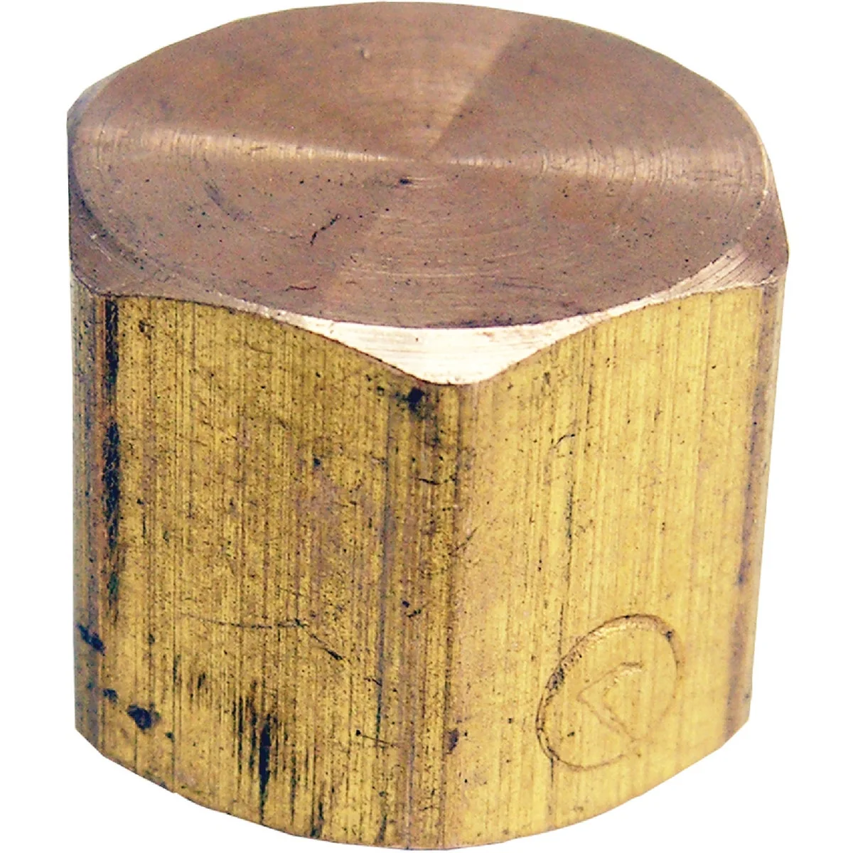 Functional Lasco 1 4 In. Red Brass Threaded Pipe Cap Contemporary