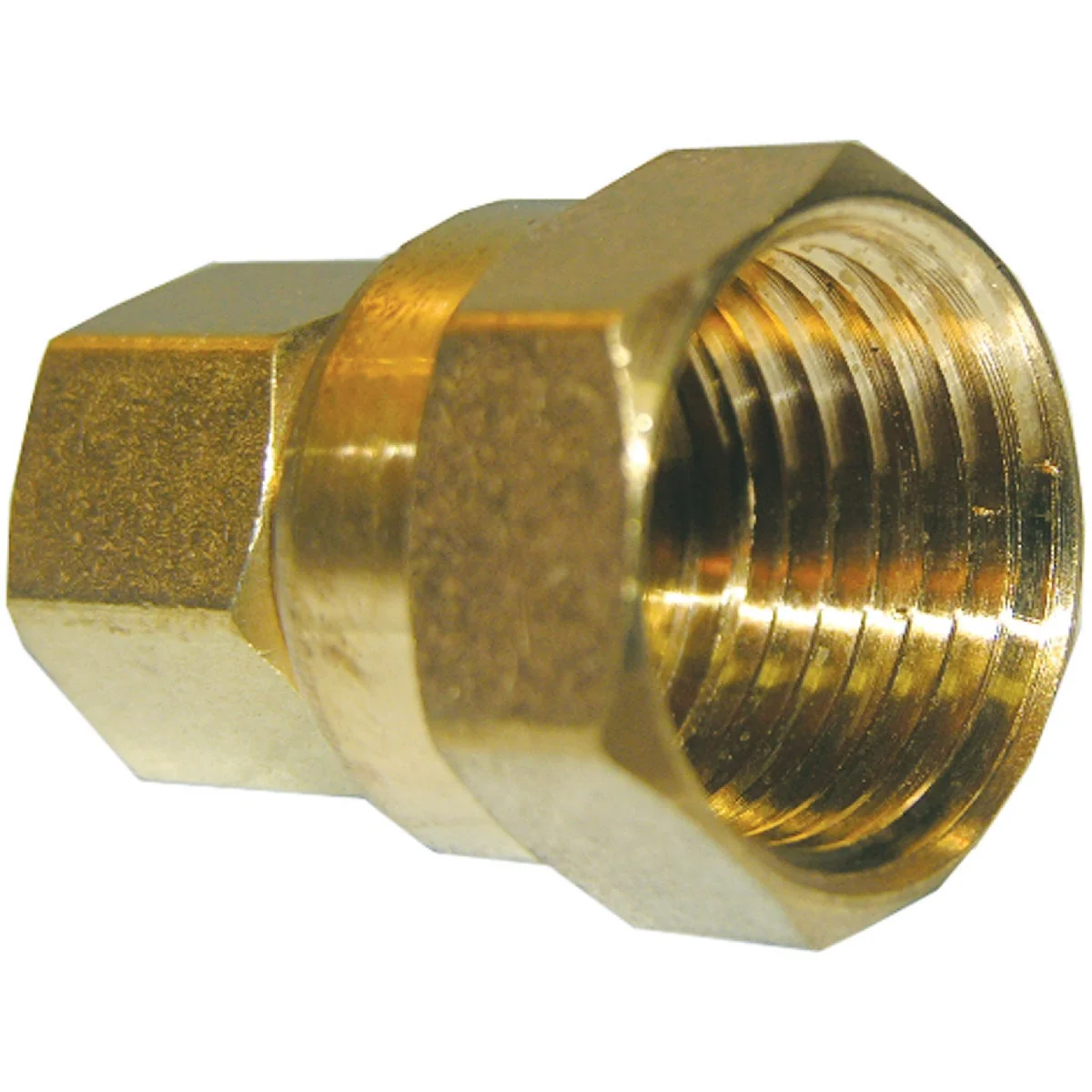 Outstanding Lasco 3 8 In. C x 1 2 In. FPT Brass Compression Adapter Elegant