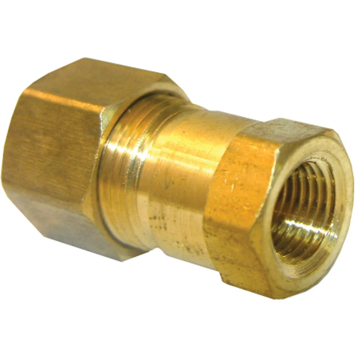 Specialty Lasco 3 8 In. C x 1 4 In. FPT Brass Compression Adapter Traditional
