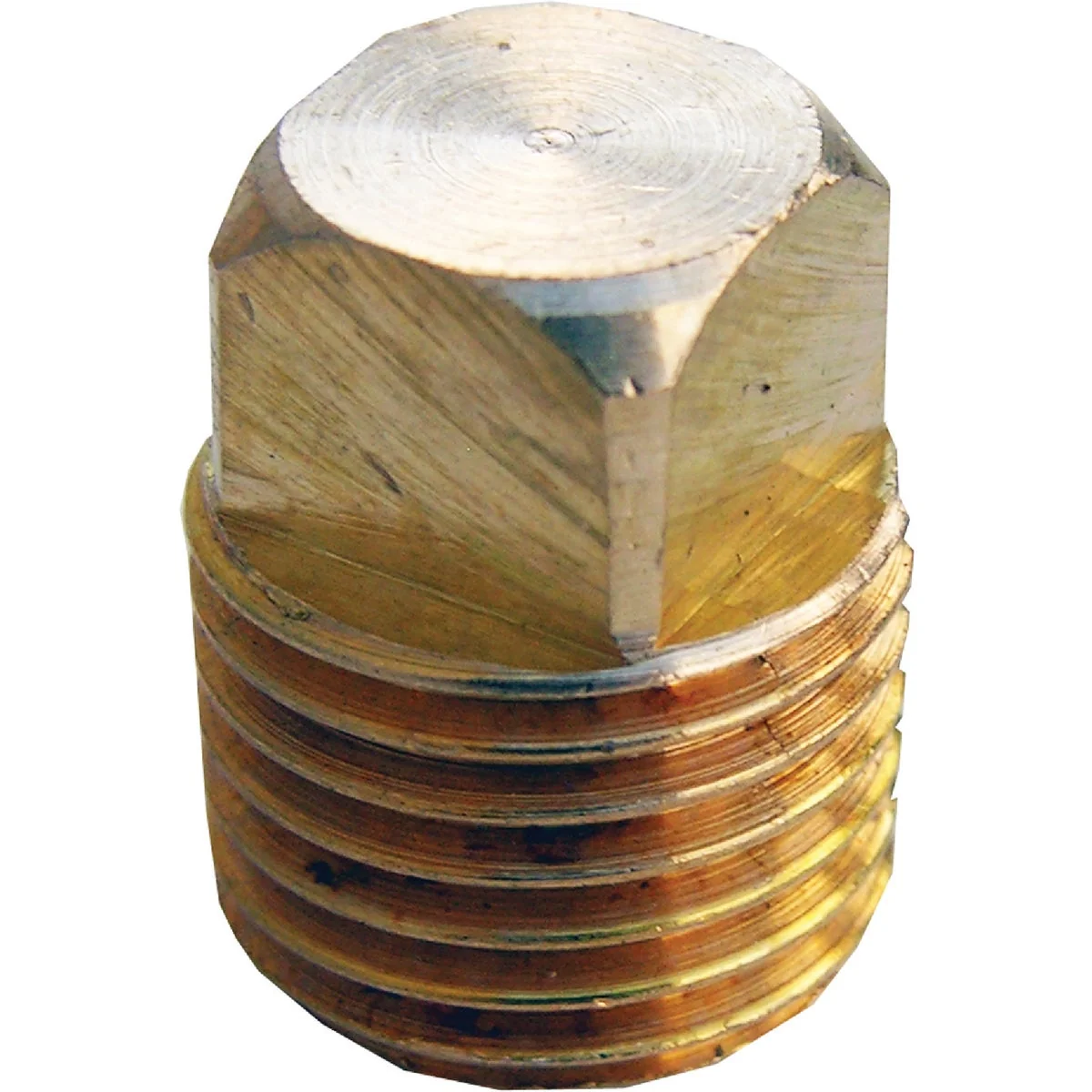 Eco-Friendly Lasco 1 4 In. MPT Brass Square Head Plug Easy-to-Use
