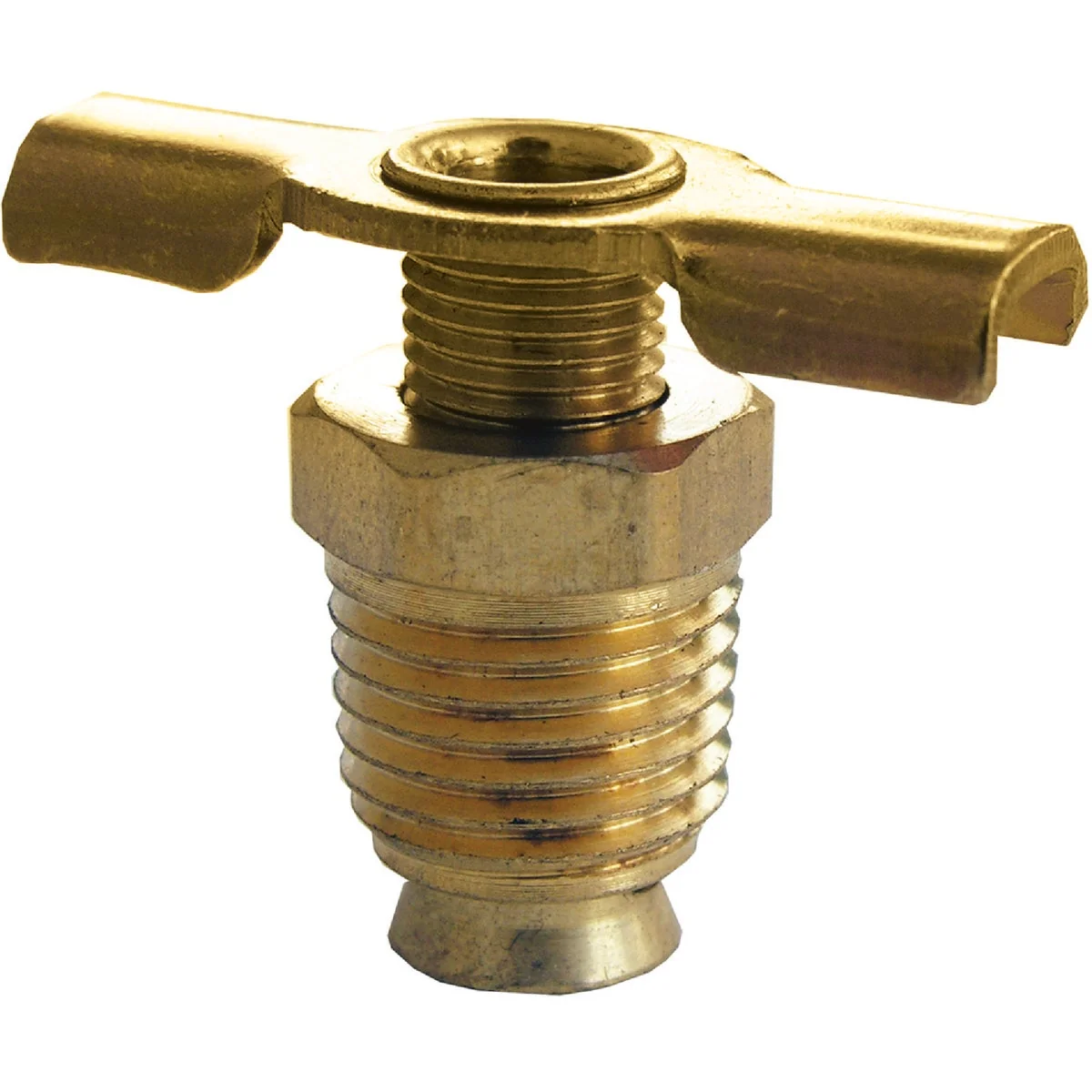 Innovative Lasco 1 8 In. MPT Brass 200 psi External Seat Drain Cock Enhanced