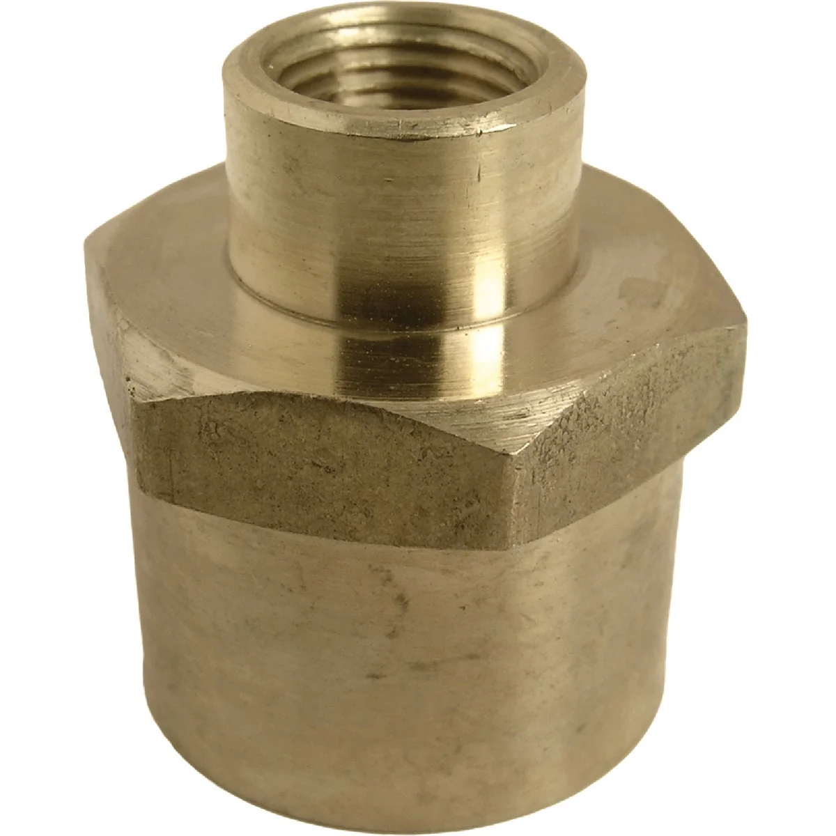 User-Friendly Lasco 1 2 In. FPT x 1 8 In. FPT Yellow Brass Reducing Coupling Traditional