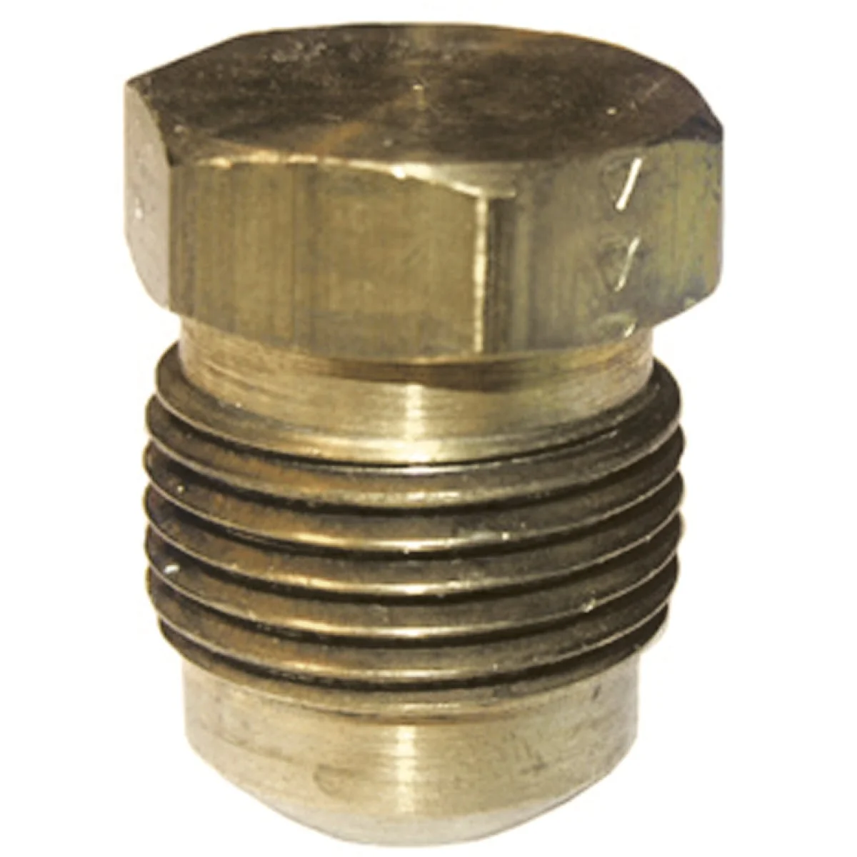 Professional Lasco 1 4 In. Brass Flare Plug Clean