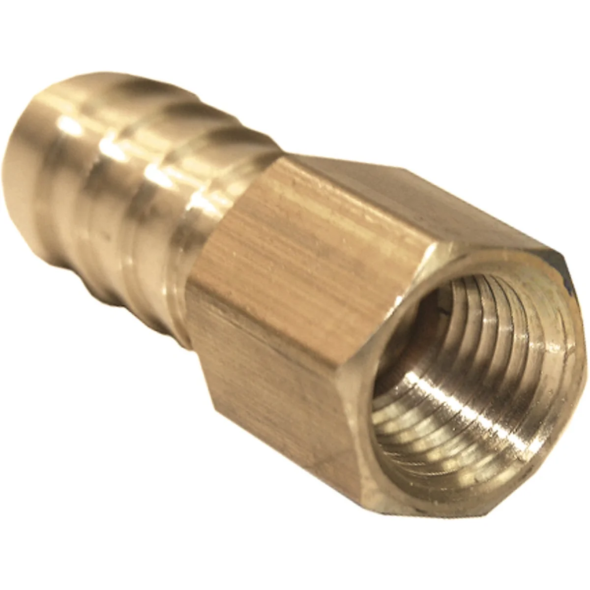 Minimalist Lasco 3 8 In. FPT x 5 16 In. Brass Hose Barb Adapter Healthy