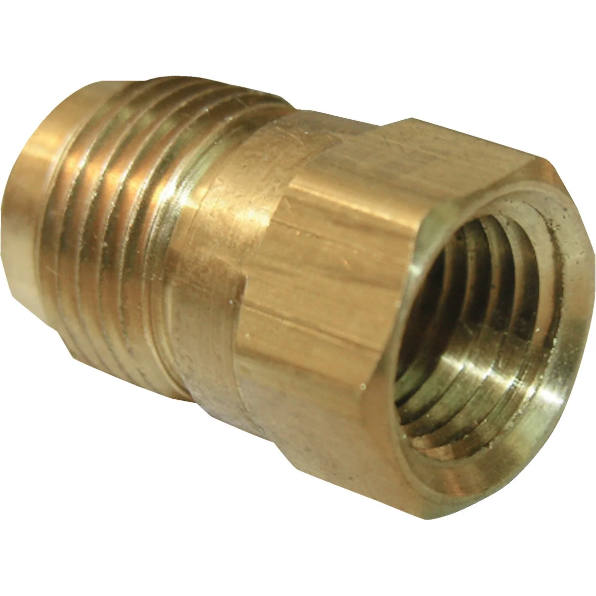 Sustainable Lasco 3 8 In. M x 1 4 In. FPT Brass Flare Adapter Reliable