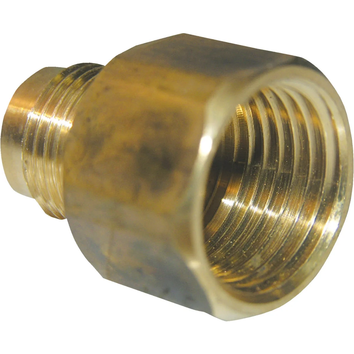 Comfortable Lasco 3 8 In. M x 3 8 In. FPT Brass Flare Adapter Enhanced